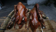 烤鸭